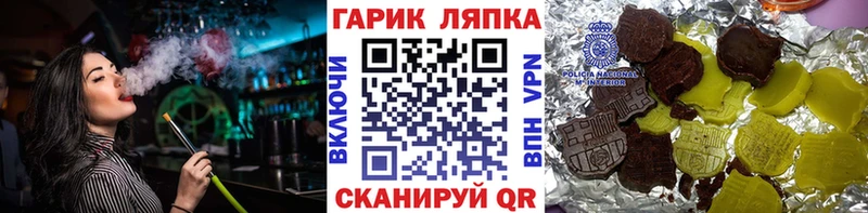 Купить закладки  Злынка  ГАШ Изолятор 