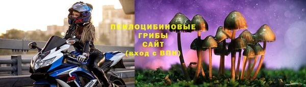эйфоретик Карпинск