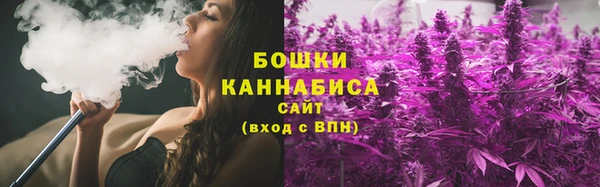 дмт Касимов