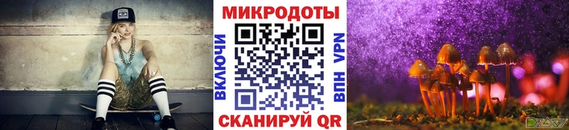 Купить закладки  Злынка  Галлюциногенные грибы мицелий 