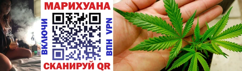 Купить закладки  Злынка  МАРИХУАНА SATIVA & INDICA 